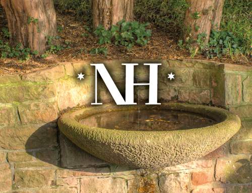 Neuenheimer Nachrichten 96